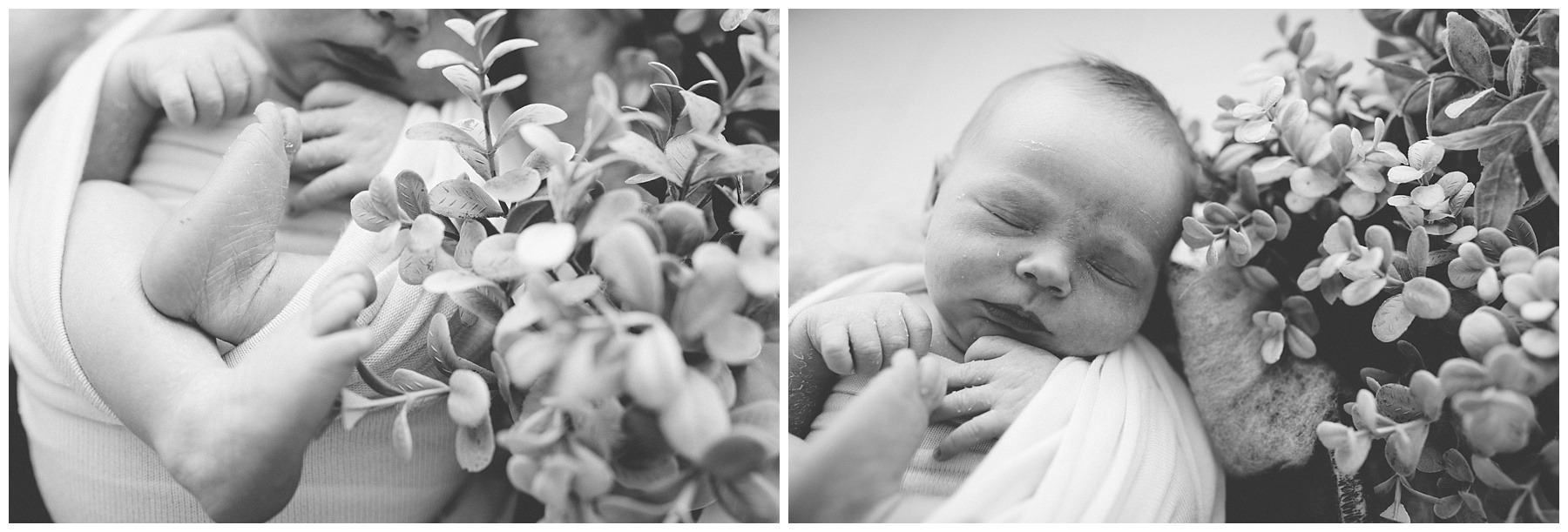 Studio Lifestyle, Newborn Photographer, Seattle Photographer, Seattle Family Photographer, Tacoma Family Photographer, Renton Family Photographer, West Seattle, Des Moines Studio, Baby On The Way, Seattle Births, Tacoma Births, Everett Births, Seattle Photography Studio